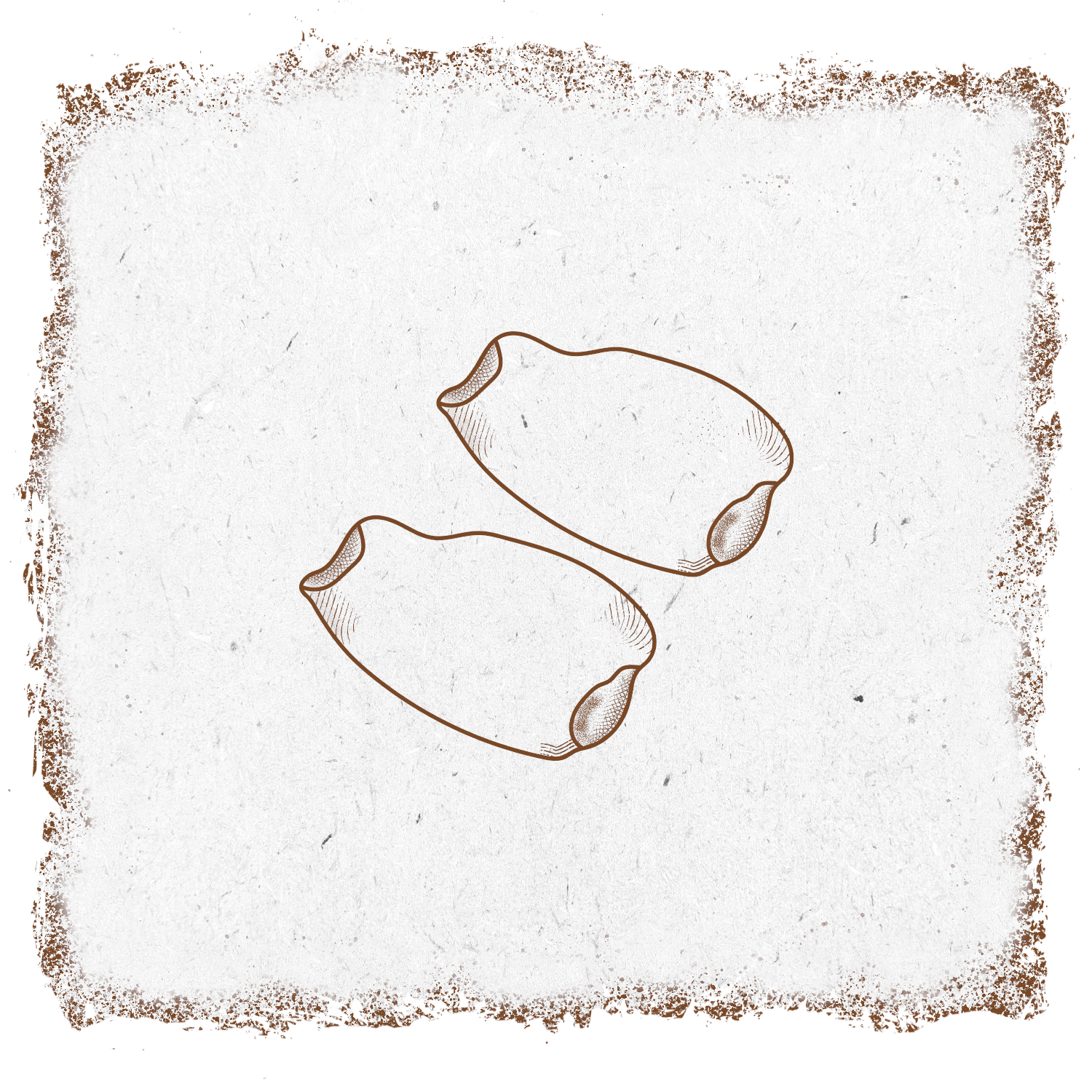 single-product-image