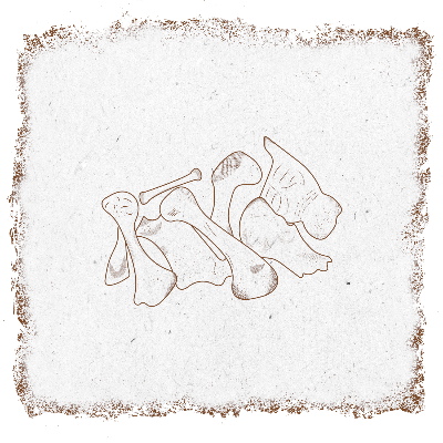 single-product-image