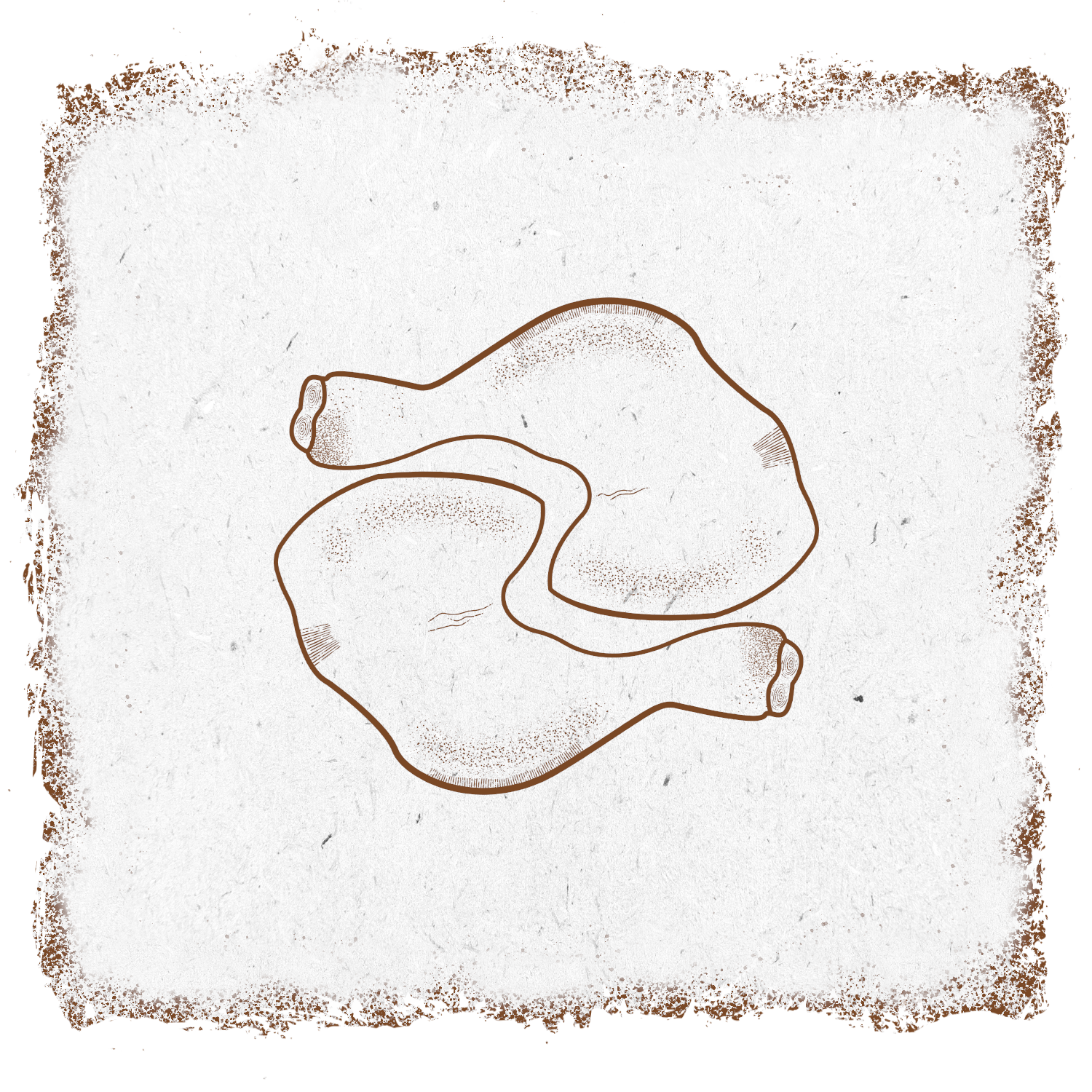 single-product-image