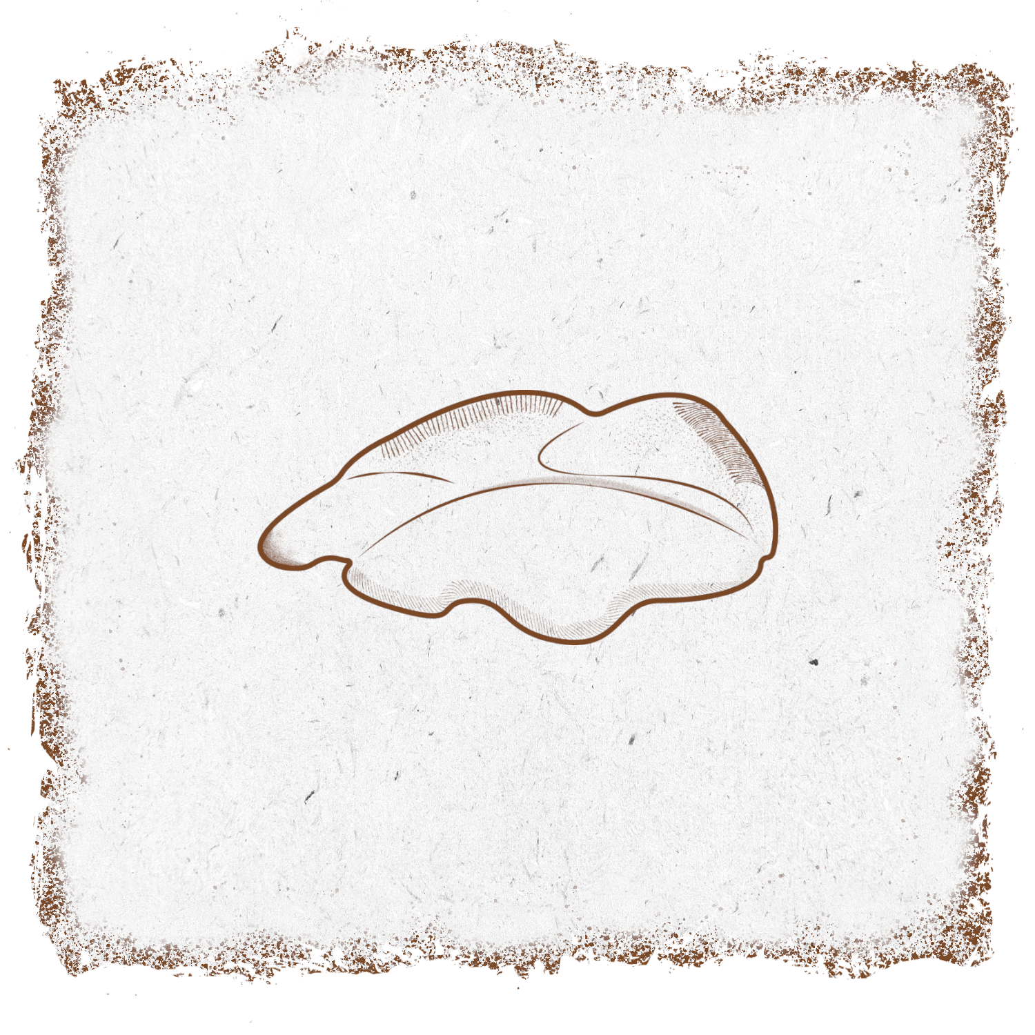 single-product-image