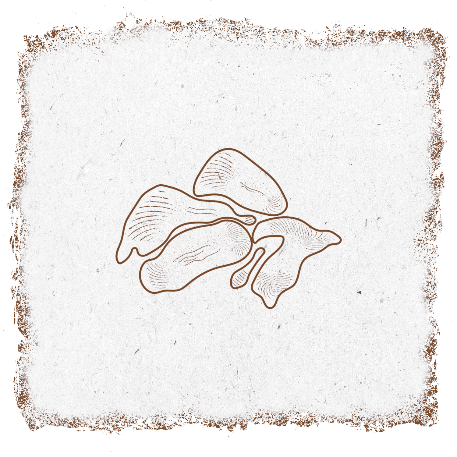 single-product-image