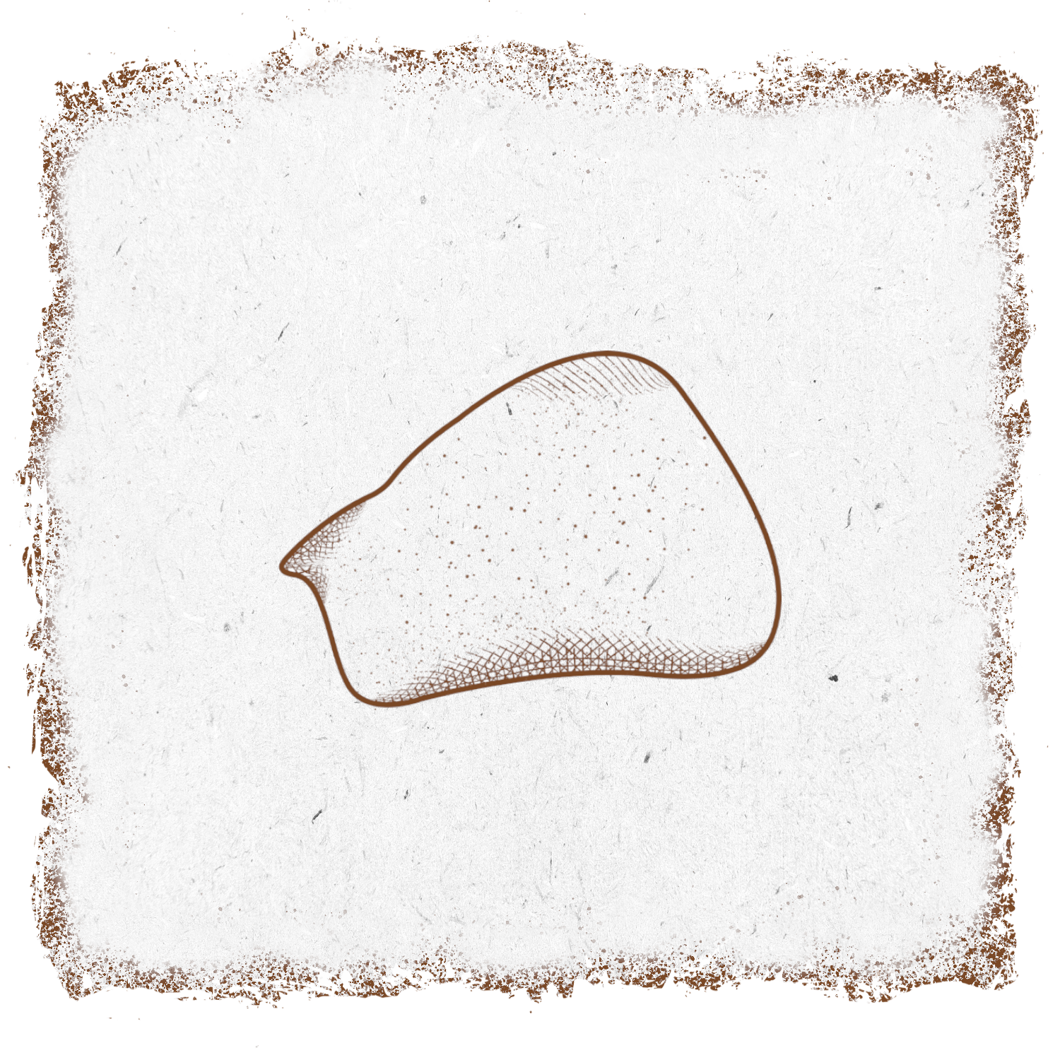single-product-image