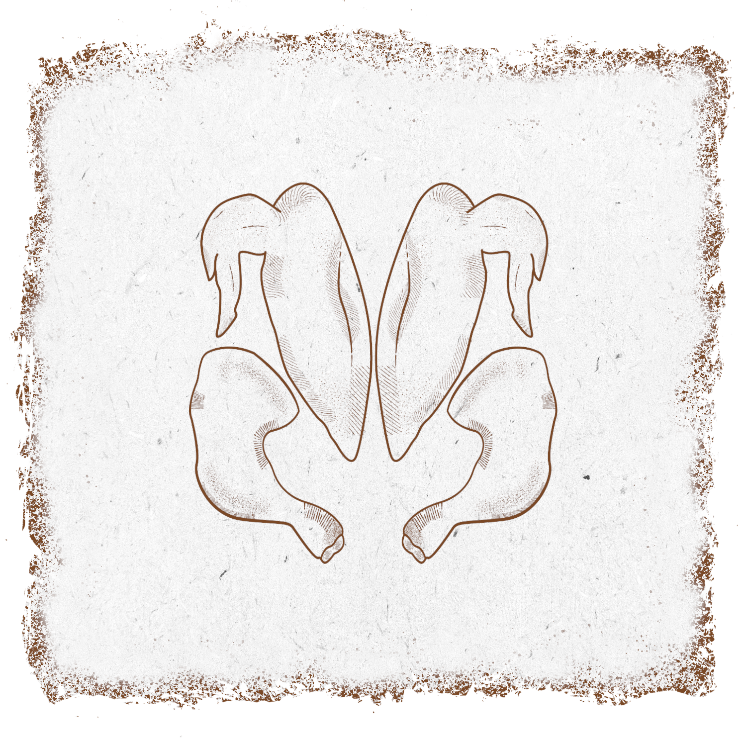 single-product-image