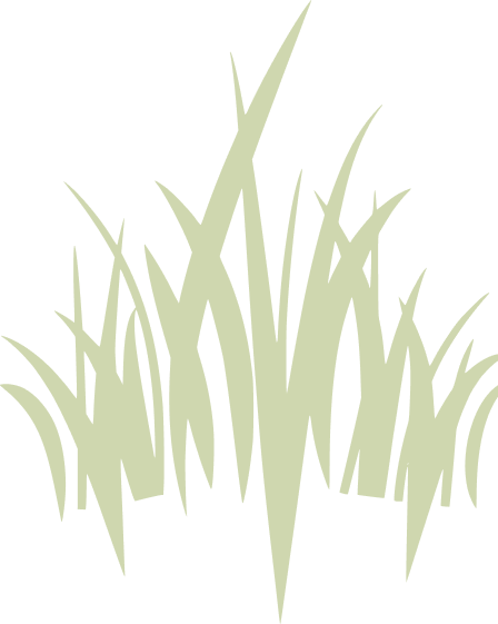traced