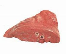 Beef Lungs $24.99/lb